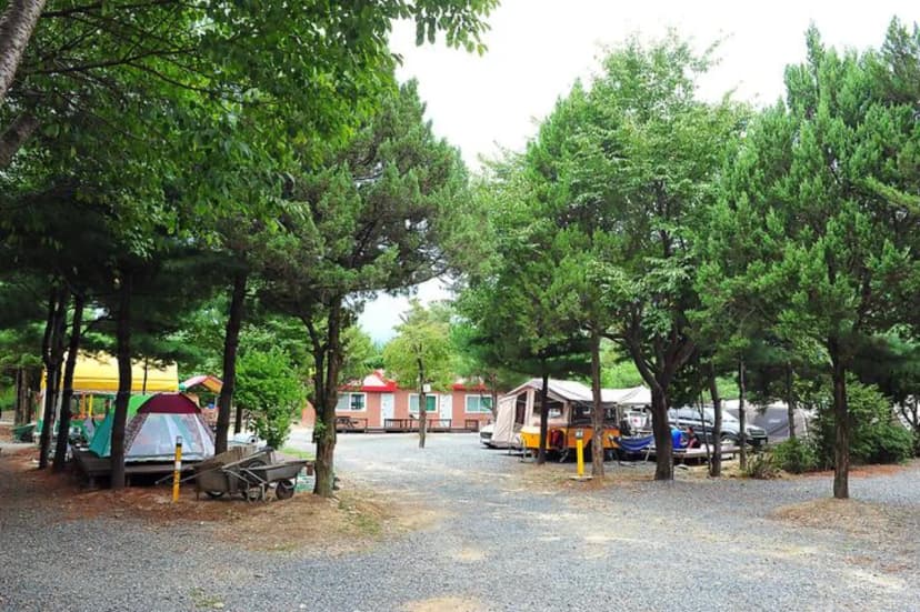핫도그342애견글램핑카라반 주식회사 사진 2