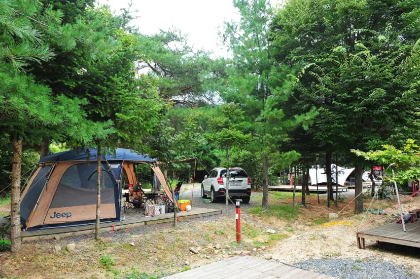 핫도그342애견글램핑카라반 주식회사 사진 18