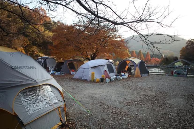 명학산 캠핑장