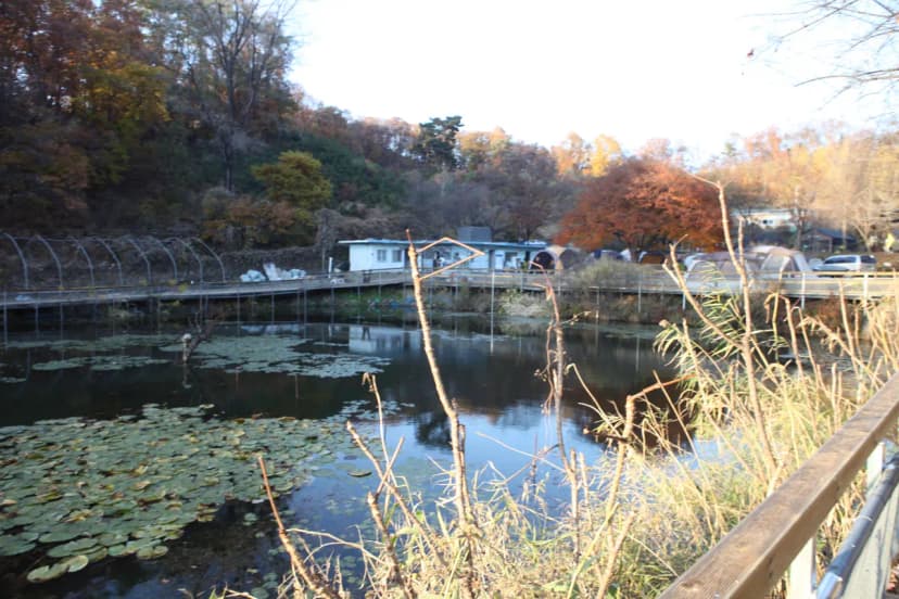 명학산 캠핑장 사진 5