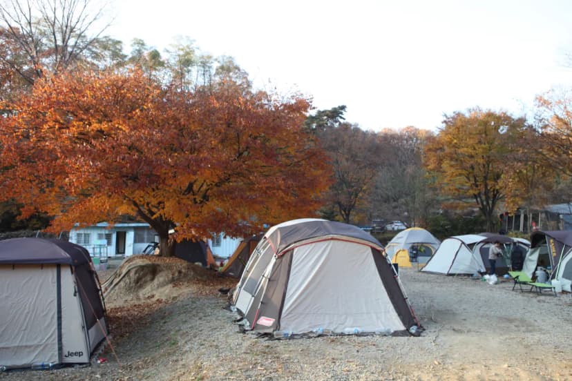 명학산 캠핑장 사진 11