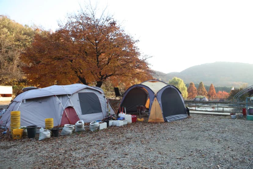 명학산 캠핑장 사진 13