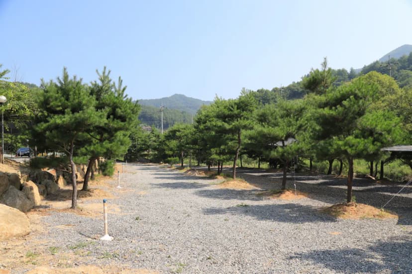 무릉도원 캠핑장 사진 5