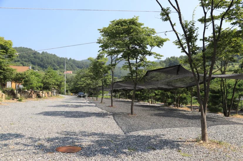 무릉도원 캠핑장 사진 9