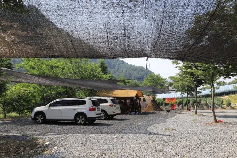 무릉도원 캠핑장 사진 14