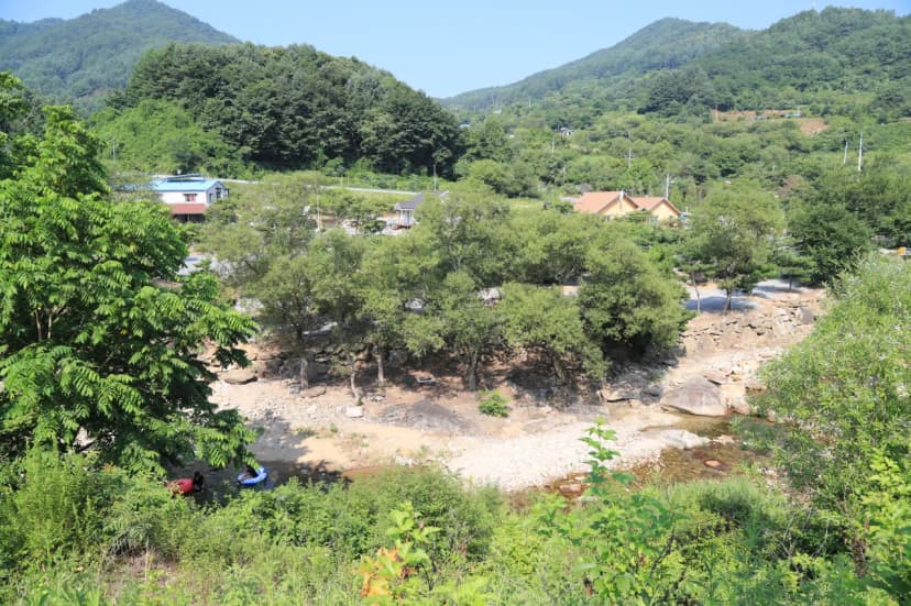 무릉도원 캠핑장 사진 15