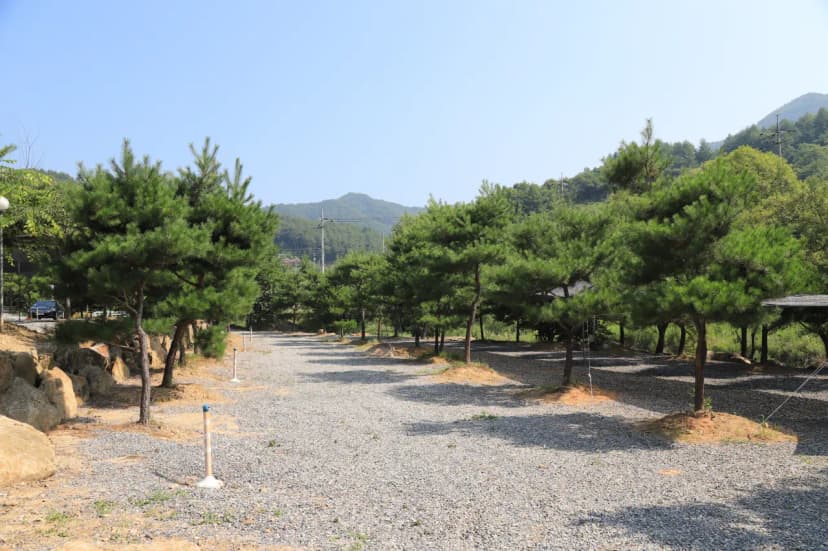 무릉도원 캠핑장 사진 16