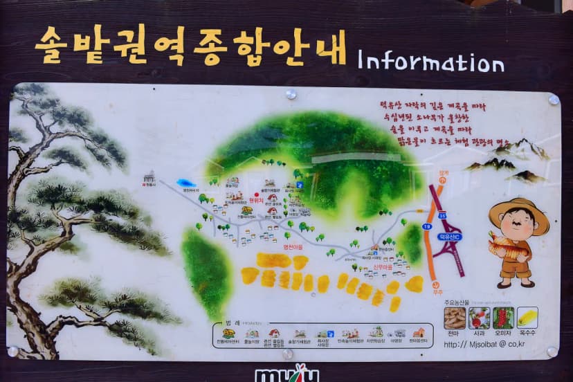 무주 솔밭야영장 사진 2