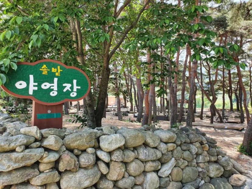 무주 솔밭야영장 사진 3