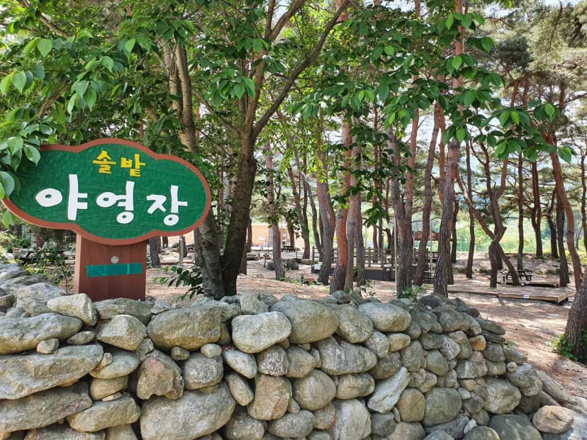무주 솔밭야영장 사진 4