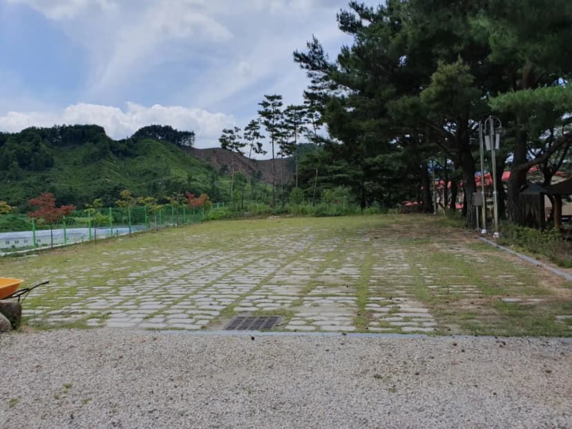 무주 솔밭야영장 사진 6