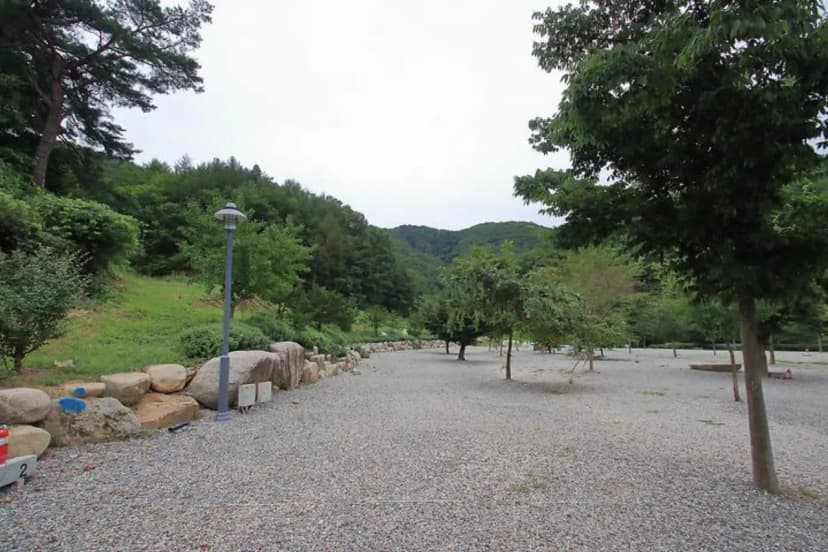 문경수예리오토캠핑장 사진 3