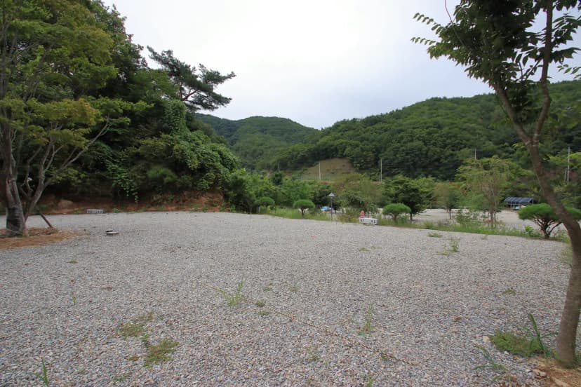 문경수예리오토캠핑장 사진 14