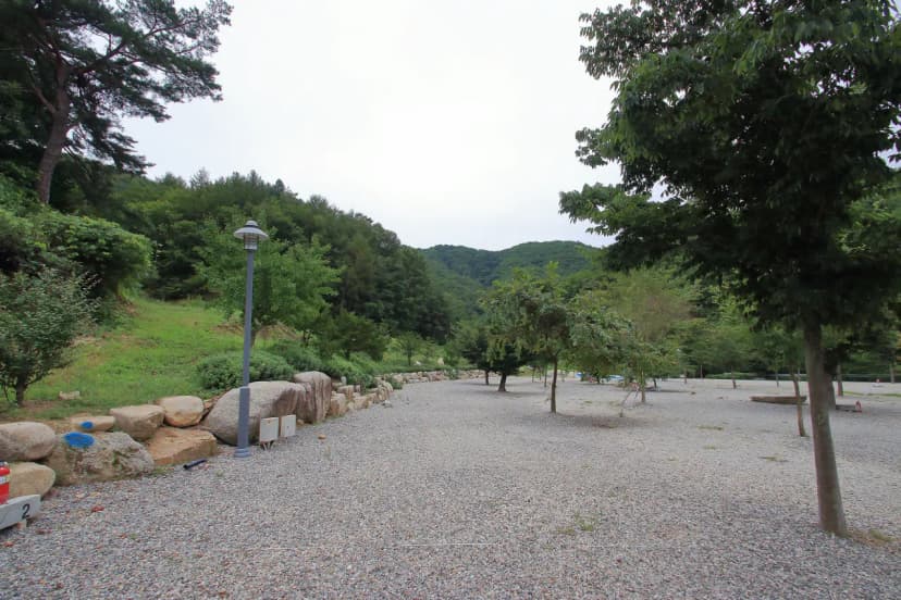 문경수예리오토캠핑장 사진 15