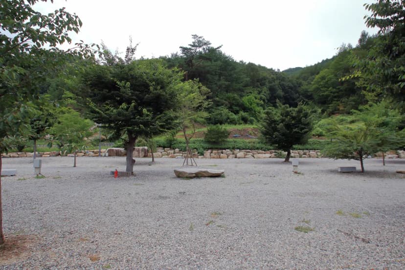 문경수예리오토캠핑장 사진 16