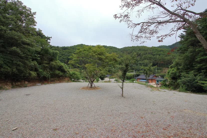 문경수예리오토캠핑장 사진 19