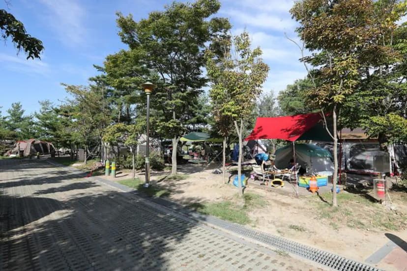 문암생태공원 사진 2