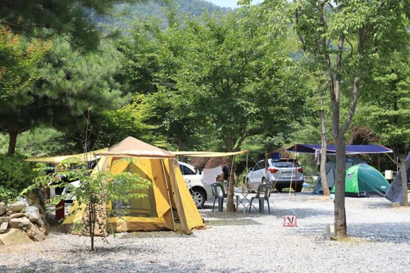 물마루 캠핑장 사진 3