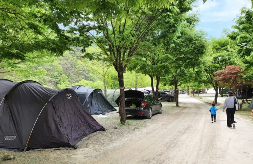 미산가족오토캠핑장 사진 5