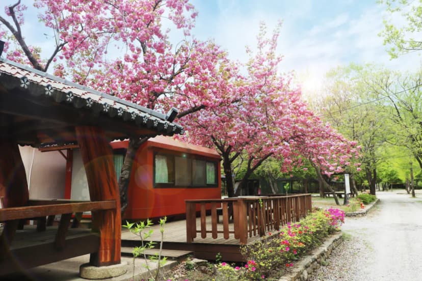 미산가족오토캠핑장 사진 7