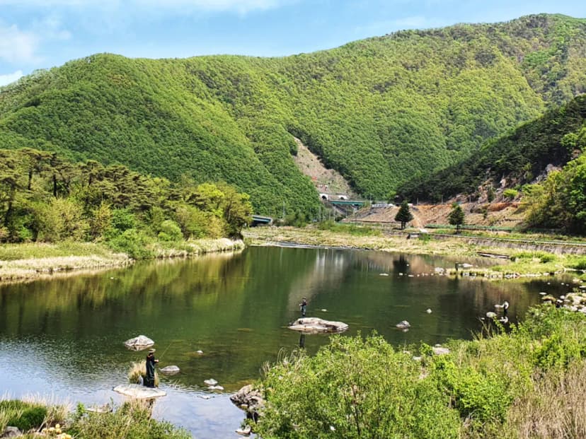 미산가족오토캠핑장 사진 14