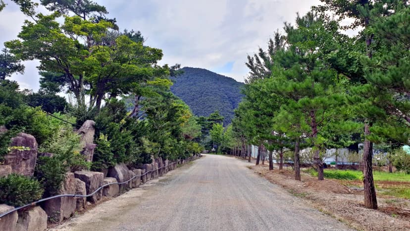 미산가족오토캠핑장 사진 20