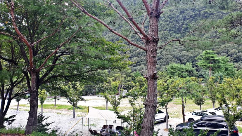 미산가족오토캠핑장 사진 21