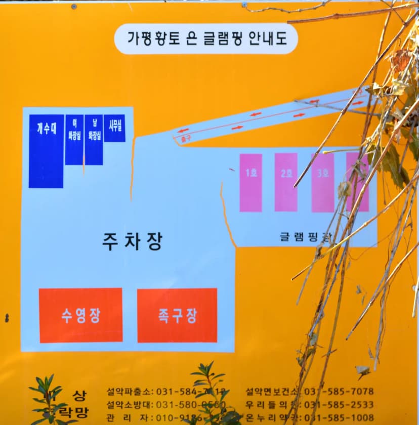 숨쉬는고래 사진 2