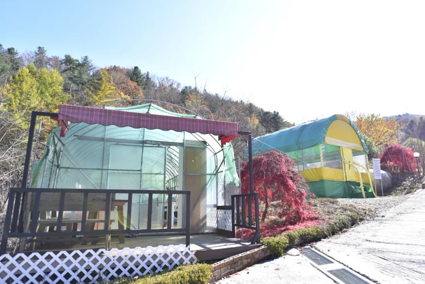 숨쉬는고래 사진 20