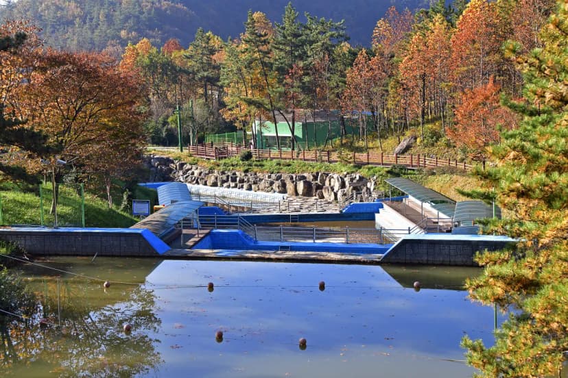 흑석산 자연휴양림 사진 13