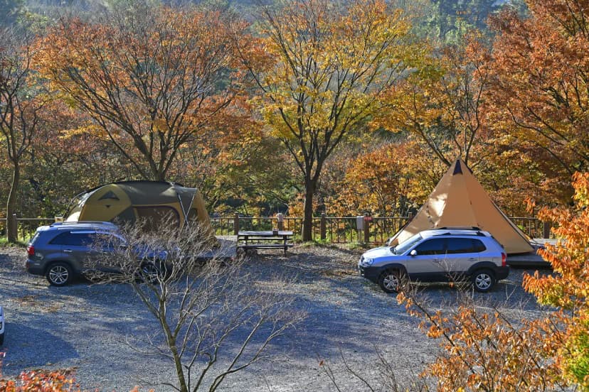 흑석산 자연휴양림 사진 15