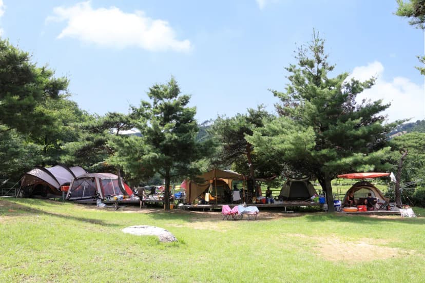 밤별2 캠핑장 사진 8