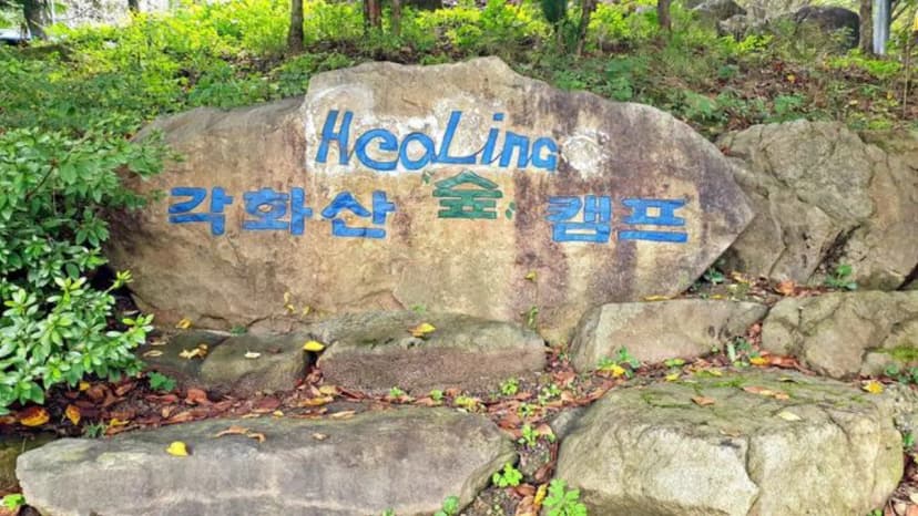 각화산캠핑장 사진 3