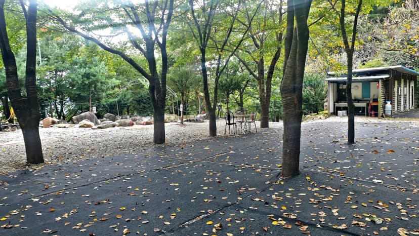 각화산캠핑장 사진 8