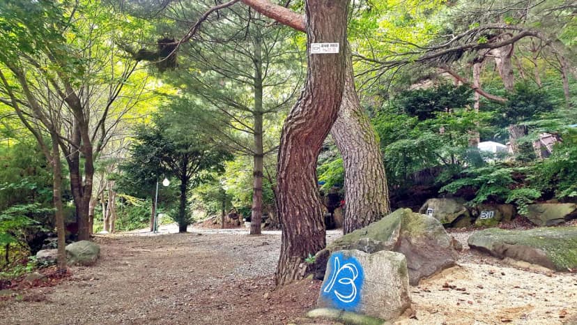 각화산캠핑장 사진 21
