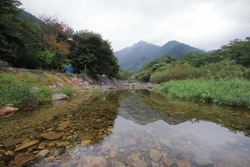 배너미오토캠핑장 사진 9