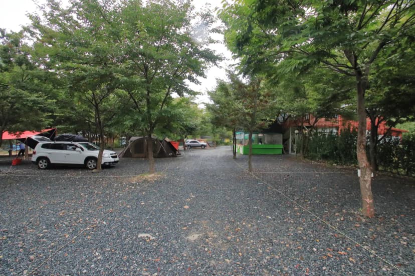 배너미오토캠핑장 사진 16