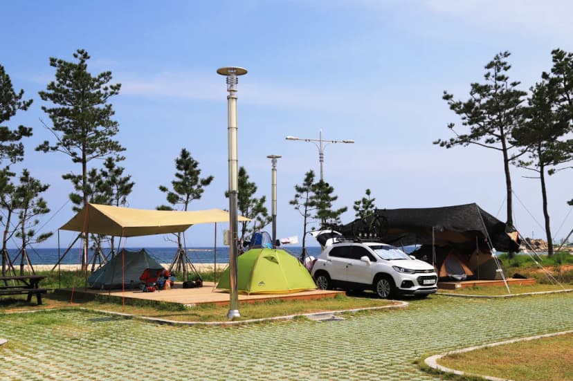 백도오토캠핑장 사진 9