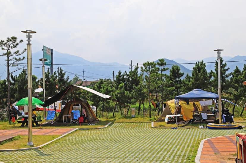백도오토캠핑장 사진 12