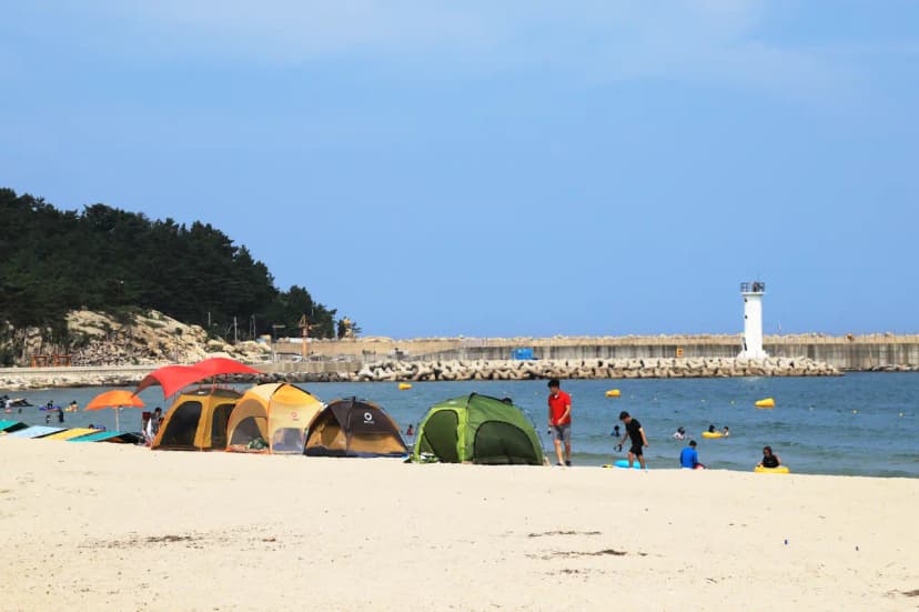 백도오토캠핑장 사진 13