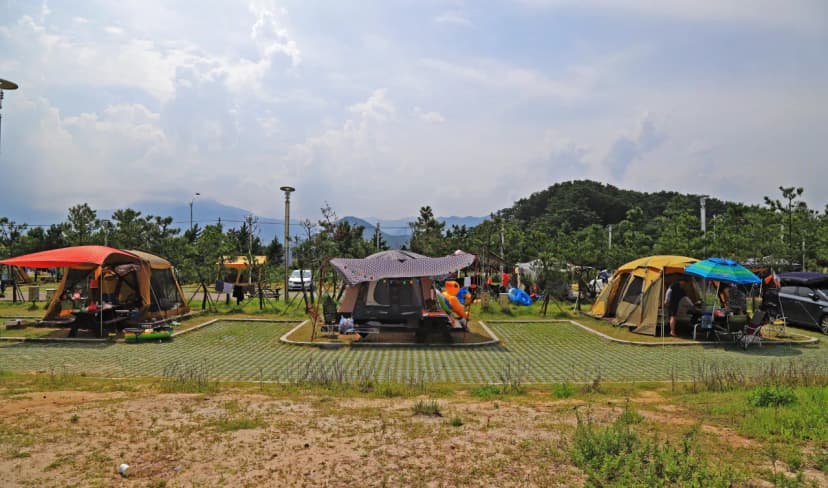 백도오토캠핑장 사진 14