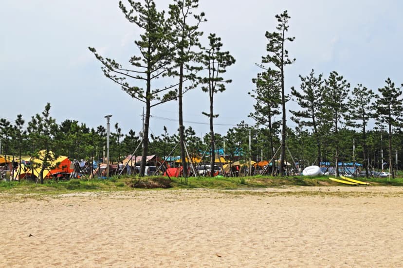 백도오토캠핑장 사진 16