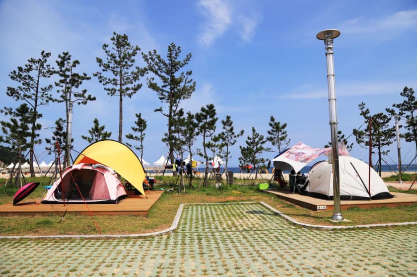 백도오토캠핑장 사진 20