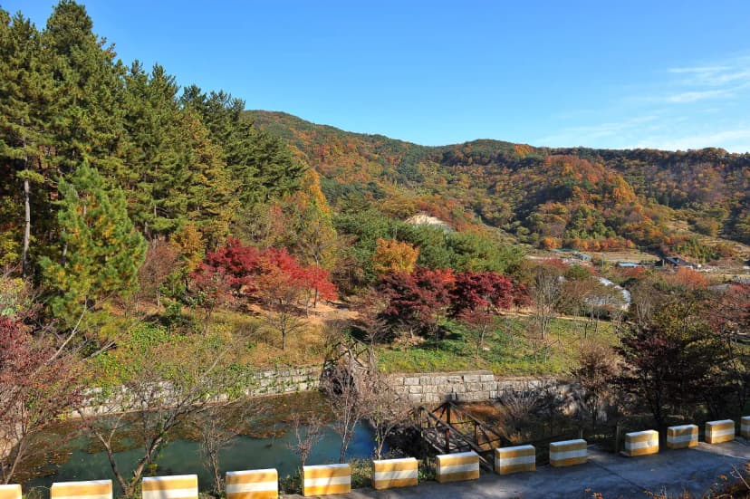백운산 자연휴양림 야영장 사진 7