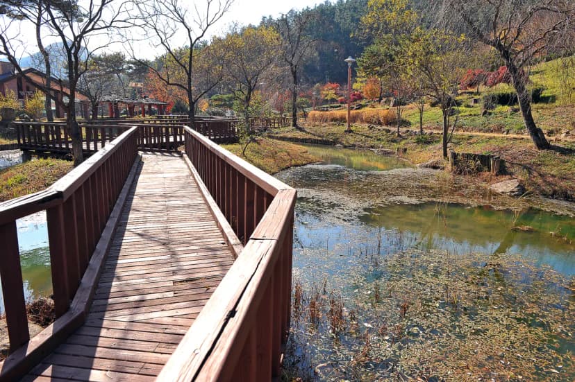 백운산 자연휴양림 야영장 사진 18