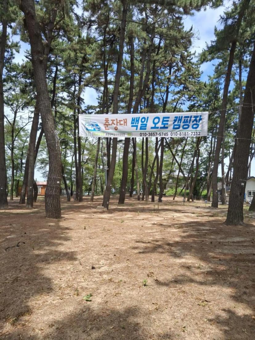 춘장대 백일 캠핑장 사진 2