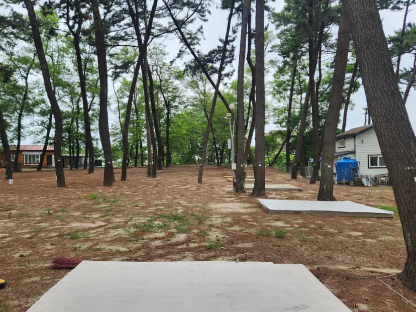 춘장대 백일 캠핑장 사진 5