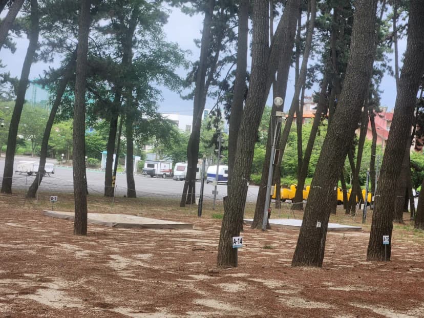 춘장대 백일 캠핑장 사진 10