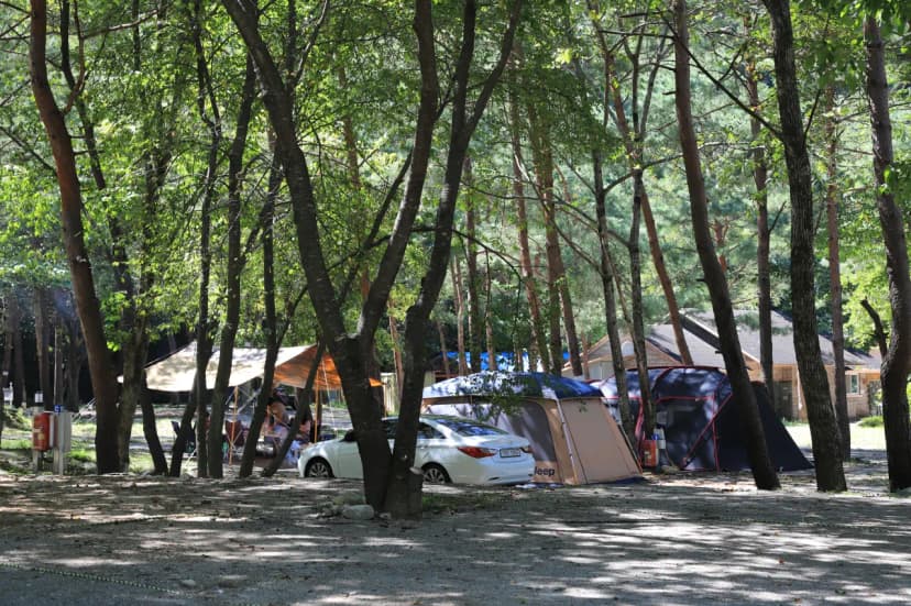 갈천 오토캠핑장 사진 4