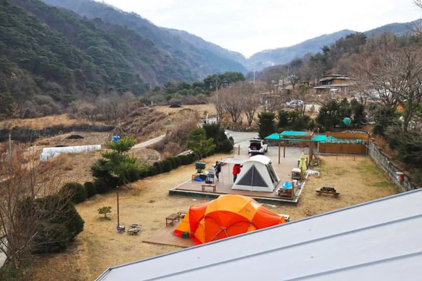벳소캠프 사진 2